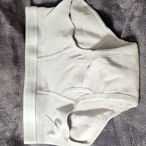 Lands End Grey Briefs